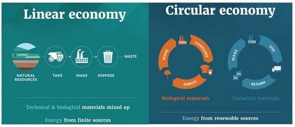 linear and circular economies